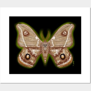 Death moth Posters and Art